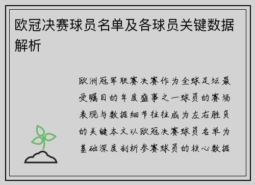 欧冠决赛球员名单及各球员关键数据解析